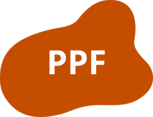 icône PPF pour la réforme de la facture électronique 